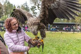 corinna-fassbender.de